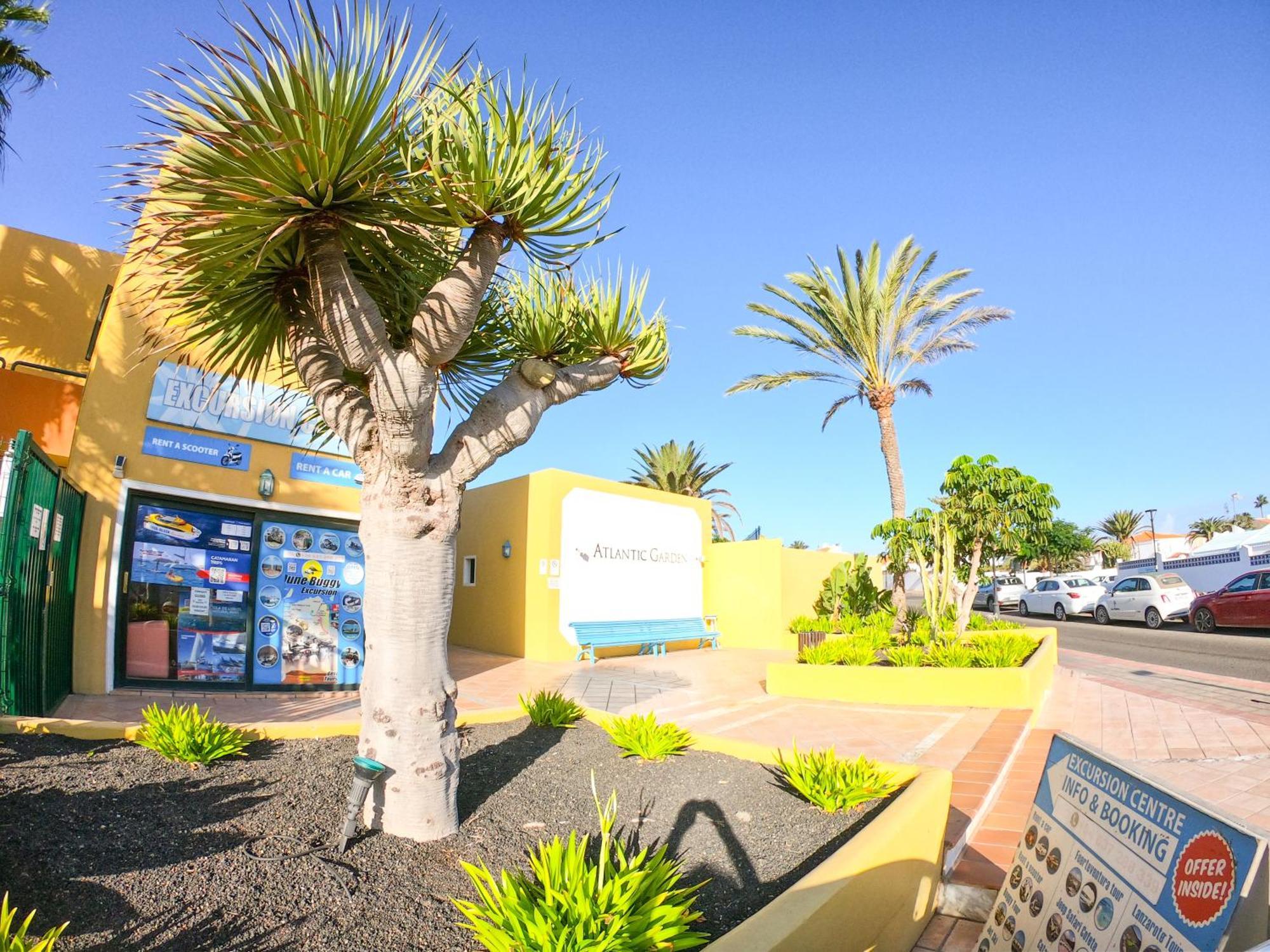 Drago 1 Atlantic Garden Apartment Corralejo Esterno foto