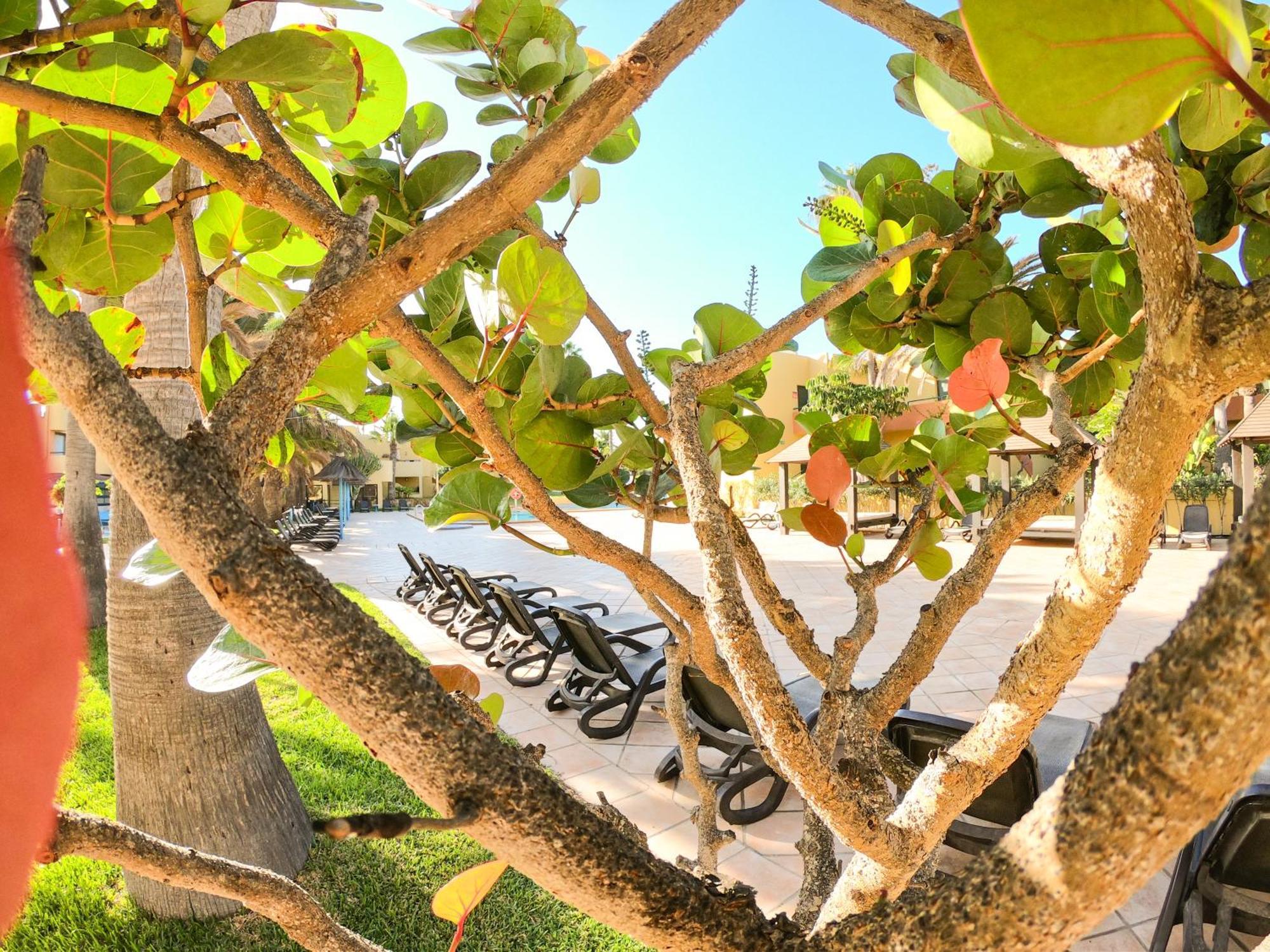Drago 1 Atlantic Garden Apartment Corralejo Esterno foto