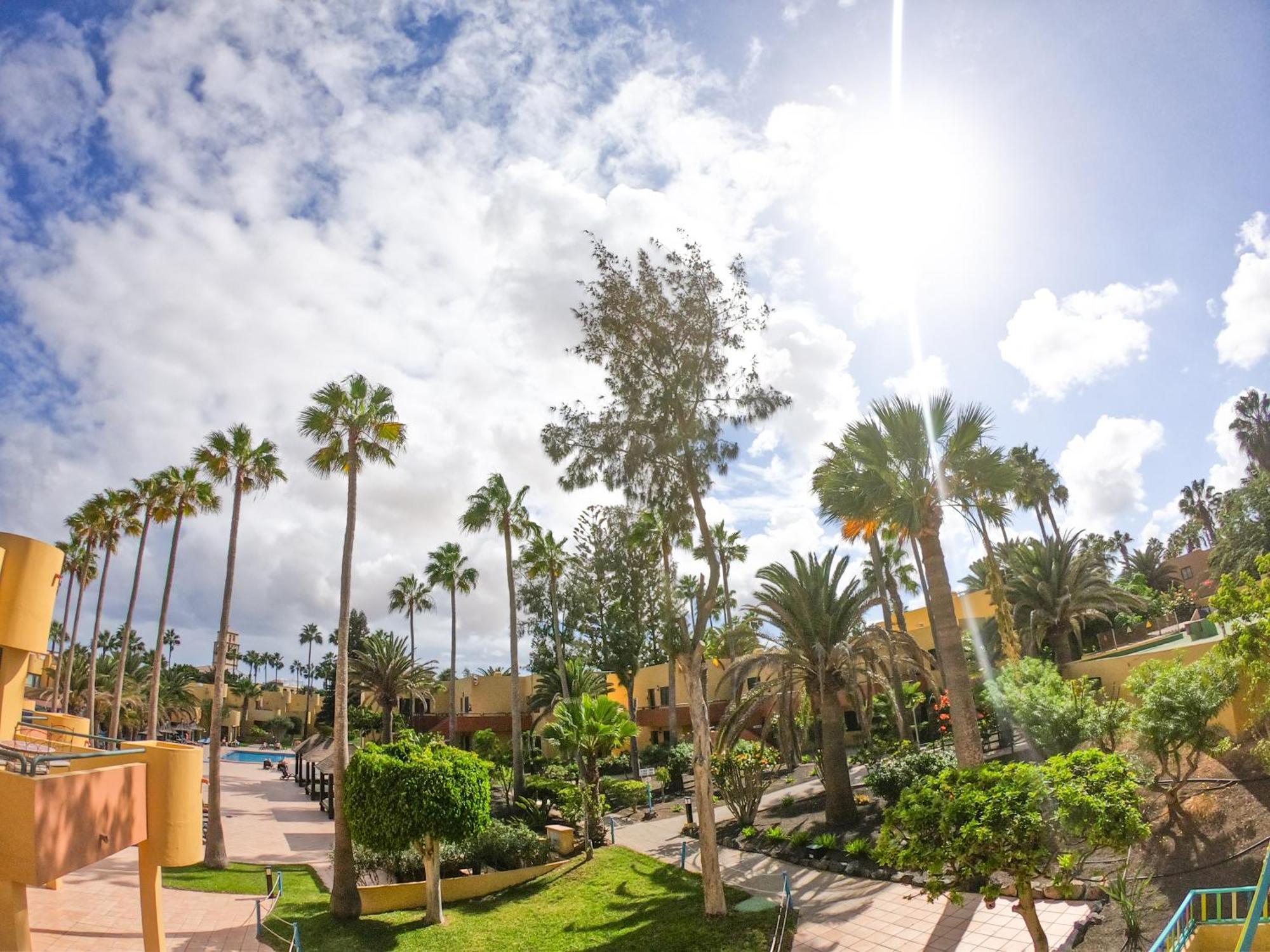 Drago 1 Atlantic Garden Apartment Corralejo Esterno foto