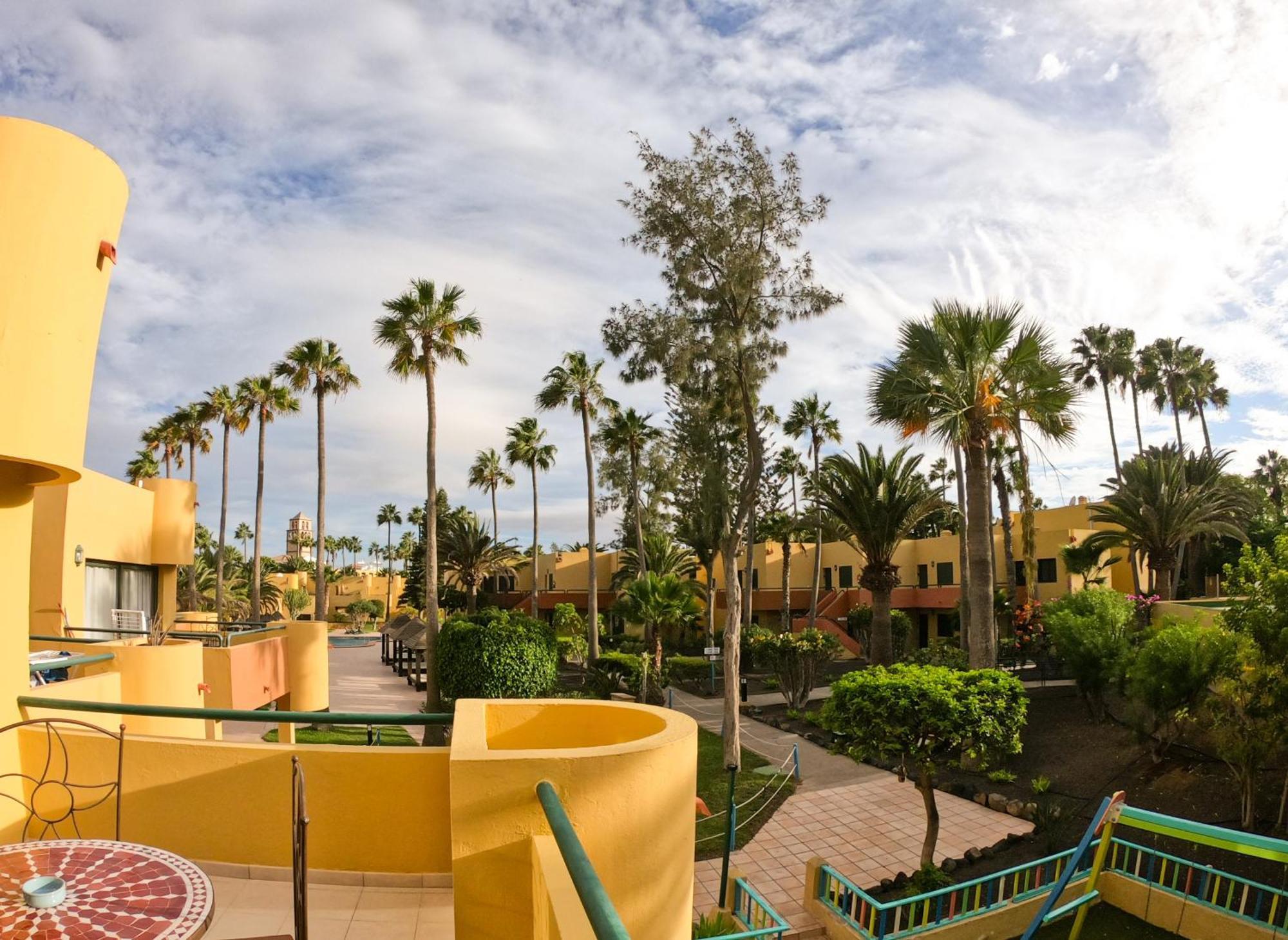 Drago 1 Atlantic Garden Apartment Corralejo Esterno foto